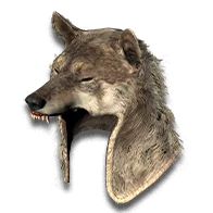 Wolf Head