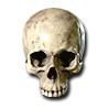 <span class='white-tooltip'>Flawless Skull<br />Can be inserted into socketed items<br /><br /><span>Weapons: 3% Life Stolen Per Hit, 3% Mana Stolen Per Hit<br /><span>Armor: Regenerate Mana 12%Replenish Life +4<br /><span>Helms: Regenerate Mana 12%Replenish Life +4<br /><span>Shields: Attacker Takes Damage of 16<br /><br /><span>Required Level 15</span> FlawlessSkull